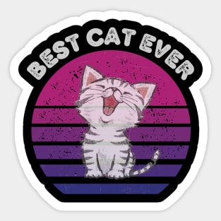 best cat ever poster Sticker